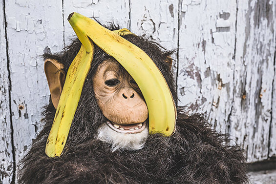 求个一手货源的手机号测压网页